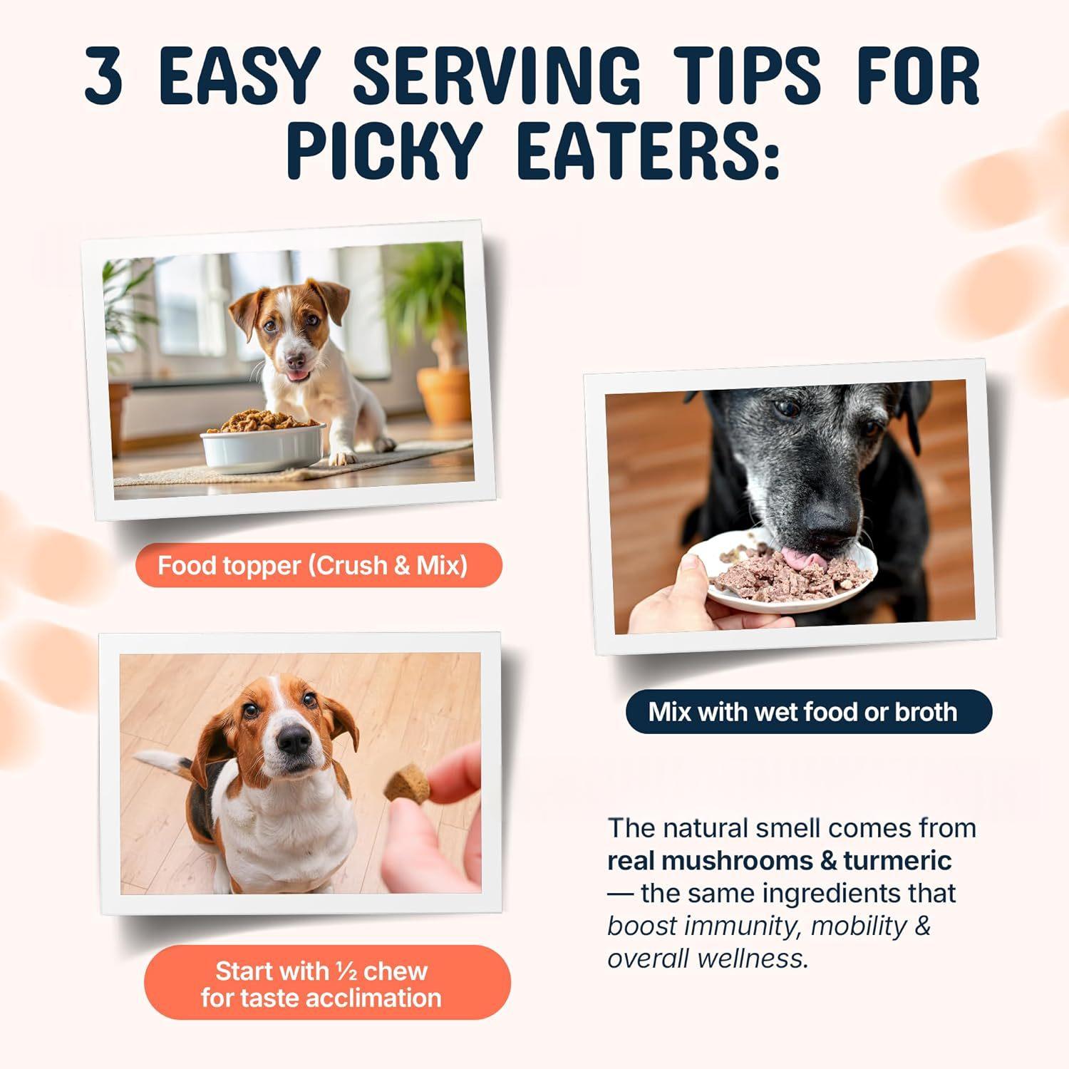 Organic Functional Mushroom Wellness Tablets for Dogs & Cats